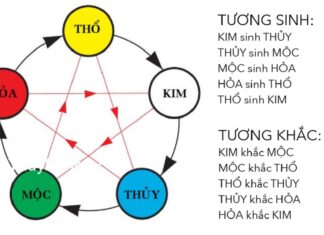 Feng Shui Considerations When Buying a Car