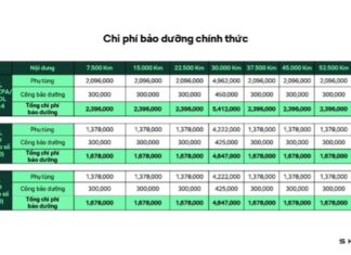 Maintenance cost of Skoda cars in Vietnam is as low as Korean and Japanese cars