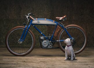 Vintage Ducati: Inspiring the Dog Lovers