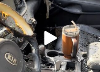 The still-intact thermos cup amidst a fiery car crash causing social media frenzy.