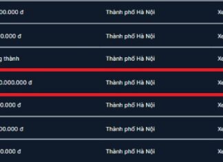 Third Auction, “All Equal” License Plate 30K-567.89 Bids for 12.57 Billion VND