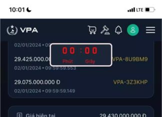 Multimillionaire bids on license plate 88A-666.66 and still comes in second with 29.425 billion VND.