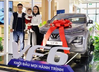 5 Reasons Why the VF 6 Dominates Its Competitors in the Same Segment