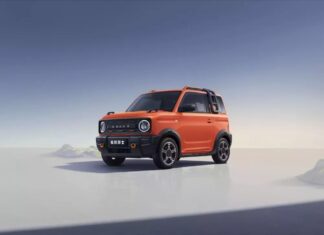 Geely Panda Knight – New Color Addition to Compete with VinFast VF3