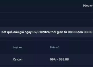 Bidding for License Plate 99A-688.88 with a Brand New BMW Z4, Including All Costs