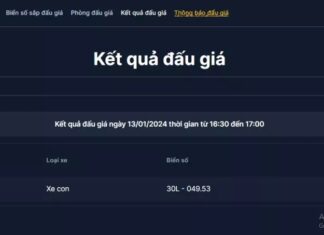 Unique Auction: Bidder amazed by 30L-049.53 license plate fetches 45 million VND