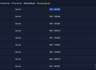 Auction of Car License Plate Resumes After 3-Day Suspension: 20A-685.86 Tops at 360 Million Dong