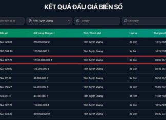 High-Value Auctioned License Plates Exceeding 10 Billion VND Revealed