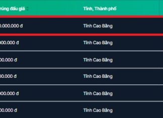 Car registration number 11A-111.11 sold for 8.78 billion VND