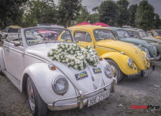 Explore the vibrant variety of classic Volkswagen Beetles in Hanoi.