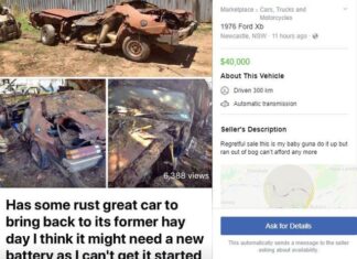 Ford car with severe damage available at unbelievable price – owner’s statement will astonish you