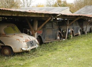Treasure trove of 100 vintage cars found in French farm