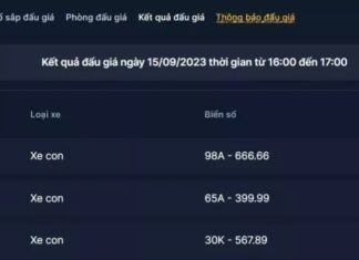 Auction Replay: License Plate 98A-666.66 Sells for 3.045 Billion VND, Down 30 Million VND from Initial Auction