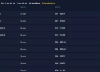 Hanoi and Thanh Hoa license plates fetched over VND 100 million at 7/11 car plate auction