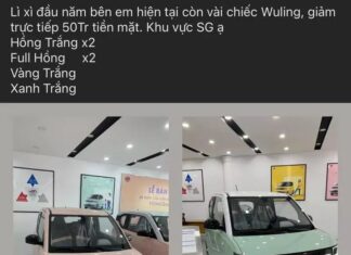 Cheapest Car in Vietnam Wuling Hongguang Mini EV Receives a Discount of 50 Million Dong from Dealership
