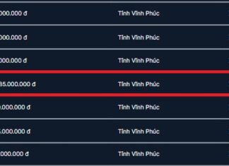 License Plate 88A – 688.88 from Vinh Phuc Province Sold for Over 3 Billion VND: Equivalent to the Price of a BMW X4