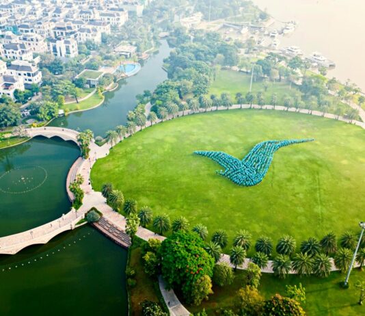 GSM Introduces Xanh SM Platform Exclusively for VinFast Electric Cars