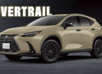 Introducing the Lexus NX 2024: Upgraded chassis and new Overtrail edition