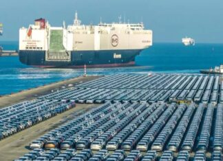 Chinese Electric Vehicles Pile Up at European Ports Amid Supply Glut