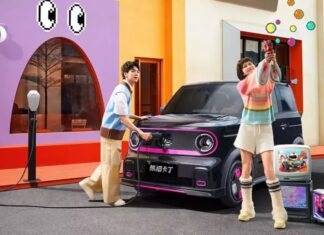 The Ultimate Geely Panda Mini EV Go Kart Edition: Affordable Fun on Four Wheels