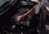 The Ultimate Guide to Mouse-Proofing Your Car Engine: A Simple Yet Effective Solution