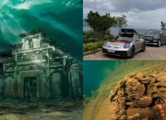 The First Glimpse of the Porsche 911 Dakar: Unveiling the Mystery Behind the Wheels of the Elite