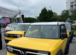 The Ultimate Guide to Flipping a VinFast VF3: How This Trader Cashed Out on a Cool 35 Million VND