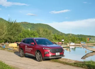 The Tech-Savvy Guy’s Verdict on His Ford Territory: “An Absolute Delight – More Pros Than Cons”.