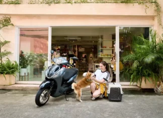 The All-New Honda Lead 125: Elevating Your Commute, Now Starting at 39.5 Million VND.