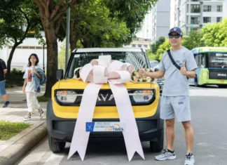 The Ultimate VinFast VF 3 Makeover: Unveiling the Cutest Minions-Themed Ride in Vietnam