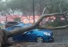 Does Car Insurance Cover Natural Disaster Damage?