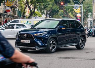 A Surge in Car Sales: The Impact of Registration Fee Support Policies