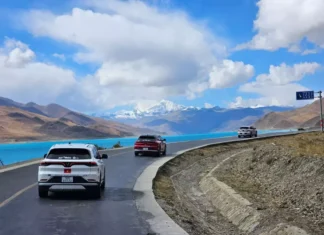 The Alluring Journey of VinFast VF 8 to the Roof of the World