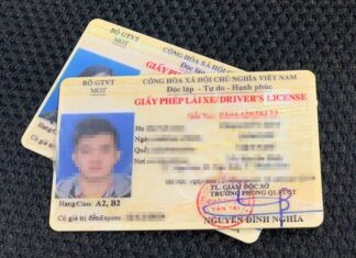 The Road to Renewal: Brush Up on Your Theory for an Expired License, Even by a Day, From 2025 Onwards.