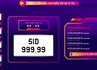 Custom License Plates for Auction Winners: A New Era for Vietnam’s Roads from 2025.