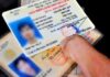 The All-New Driving License Regulations: What You Need to Know for 2025