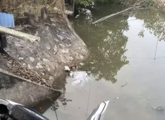 The Tragic Plunge: Car Plunges into River, Taking Eight Lives in a Devastating Family Tragedy in Nam Dinh, Vietnam.