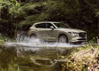 The C-SUV Sales Champion for January 2025: Ford Territory Stands Alone in a Growing Market