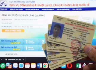 The Ultimate Guide to Renewing Your Driver’s License Online: A Step-by-Step Process to Save You Time and Effort