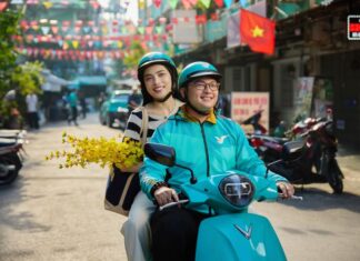 Why Do Vietnamese Prefer to Spend More on Xanh SM Taxis?