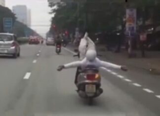 The Motorcycle Maestro: A Man and His Machine’s Balancing Act on the Streets