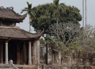 The Classic Porsche 911: A Stunning Display of Automotive Passion