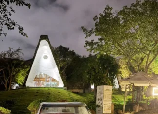 A Closer Look at the Mercedes-Benz 250SL: The Newest Addition to Vietnam’s “Coffee King” Fleet