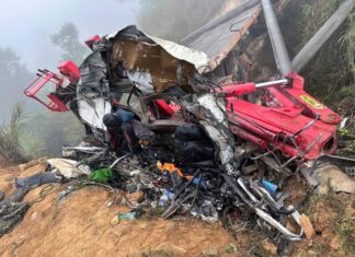 A Tragic Accident: Truck Carrying Power Poles Plunges into Ravine, Leaving Two Dead