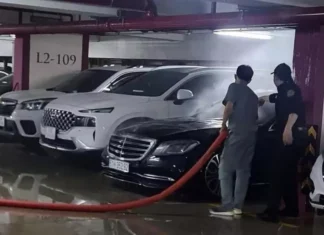 The Luxury Car Fire: A Singer’s Battle with Mercedes-Benz.