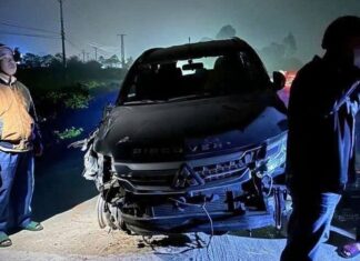 “Deadly Road Rampage in Nghe An: Driver Arrested After Fatal Hit-and-Run”