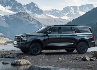 The App Glitched, Chinese Car Owners Locked Out