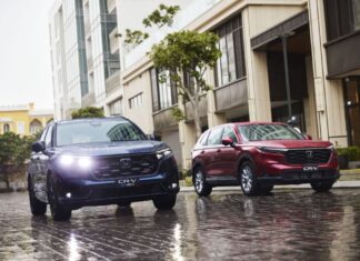 The Electric Hybrid: A Frugal Choice or a Risky Investment?