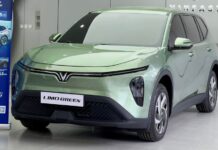 5 Must-Have Accessories for Your VinFast Limo Green