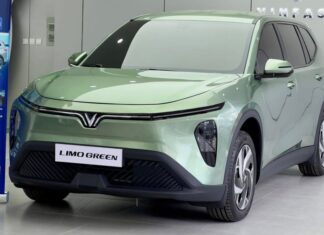 5 Must-Have Accessories for Your VinFast Limo Green